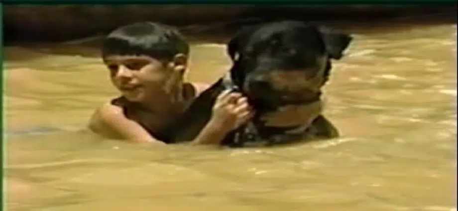 Orión: El ángel de cuatro patas que desafió a la naturaleza