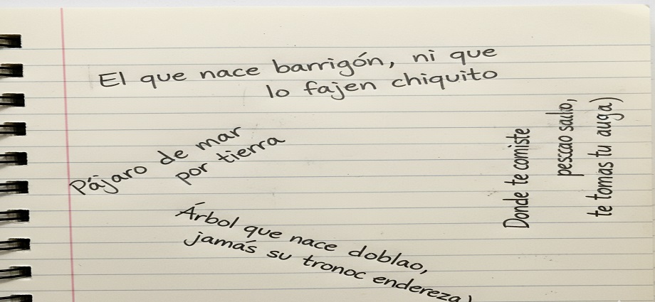 La Décima en el día a día: El refranero