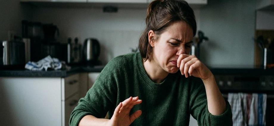 La alcancía de las palabras y sus coroticos: Verbos que no aceptan imperativos