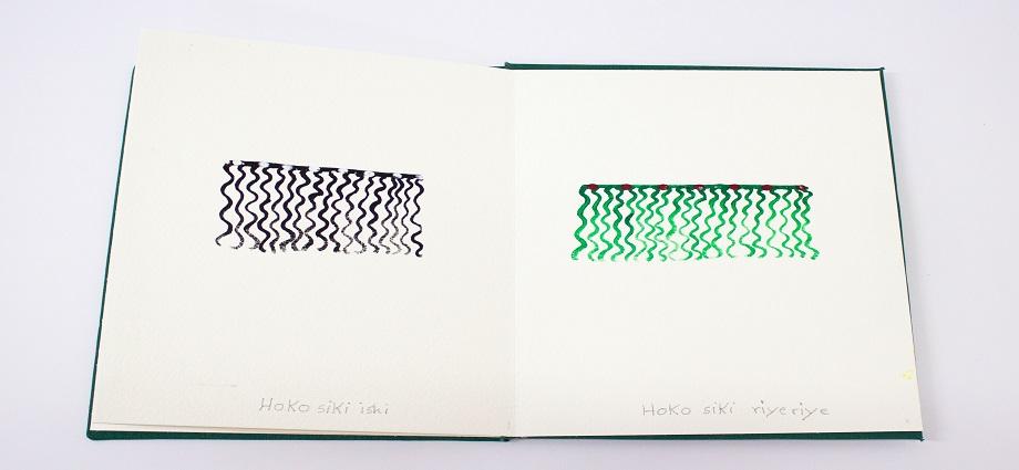 Sheroanawe Hakihiiwe inaugura exposición en la galería ABRA