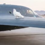 La Décima en el día a día: Paz, lo que éste mundo prefiere