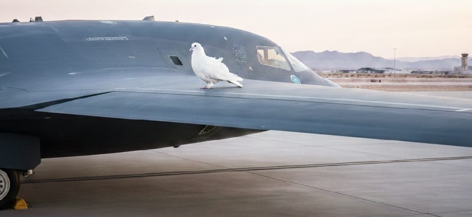 La Décima en el día a día: Paz, lo que éste mundo prefiere