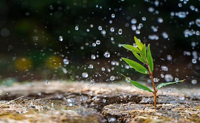 La Décima en el día a día: Olor a tierra mojada