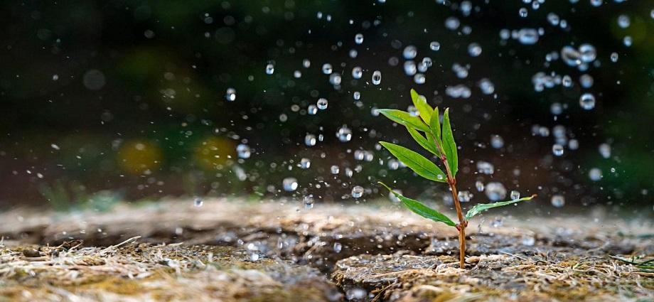 La Décima en el día a día: Olor a tierra mojada