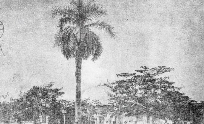 Efemérides Venezolanas: 11 de febrero