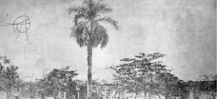 Efemérides Venezolanas: 11 de febrero