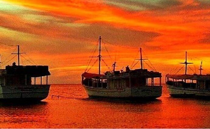 El Humberto, su amor por Sofía y la opacarofilia