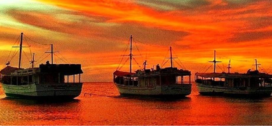 El Humberto, su amor por Sofía y la opacarofilia