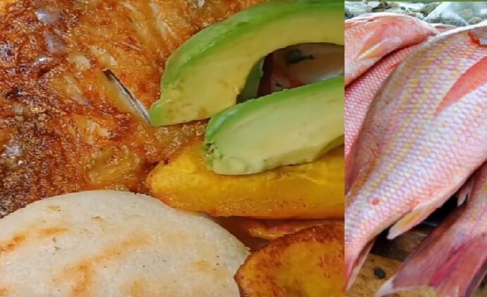 La identidad gastronómica: Estrategia de productividad