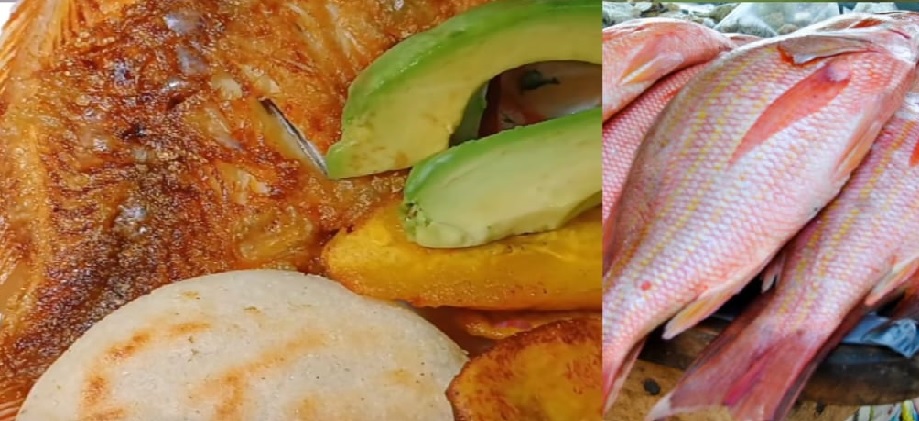 La identidad gastronómica: Estrategia de productividad