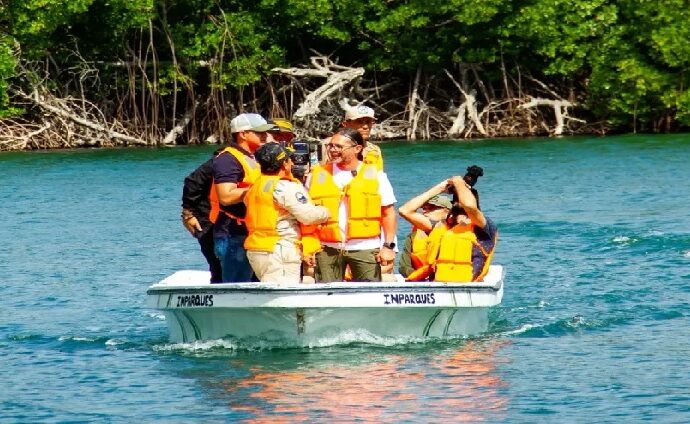 Impulsan restauración costera en La Restinga con recolección de mangle rojo