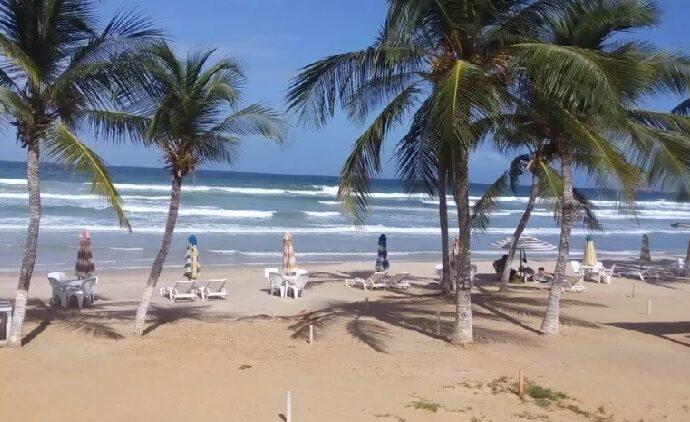 Blindan el acceso público y protegen el desove de tortugas en Guacuco