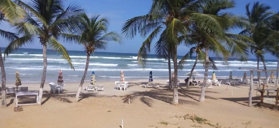 Blindan el acceso público y protegen el desove de tortugas en Guacuco