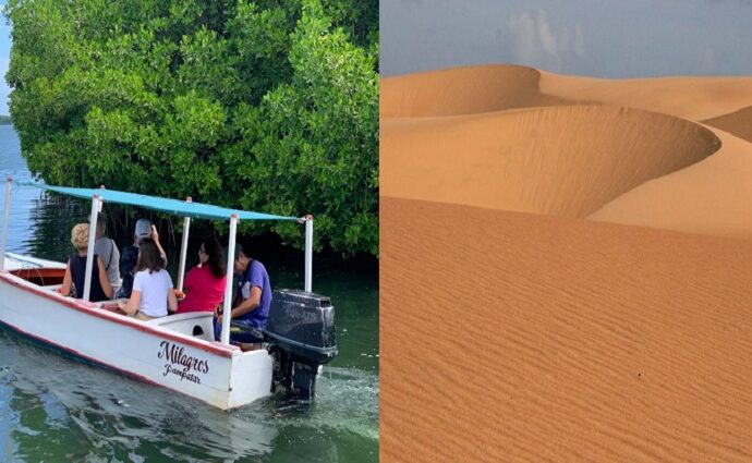 Entre los manglares de La Restinga y el oro de los Médanos