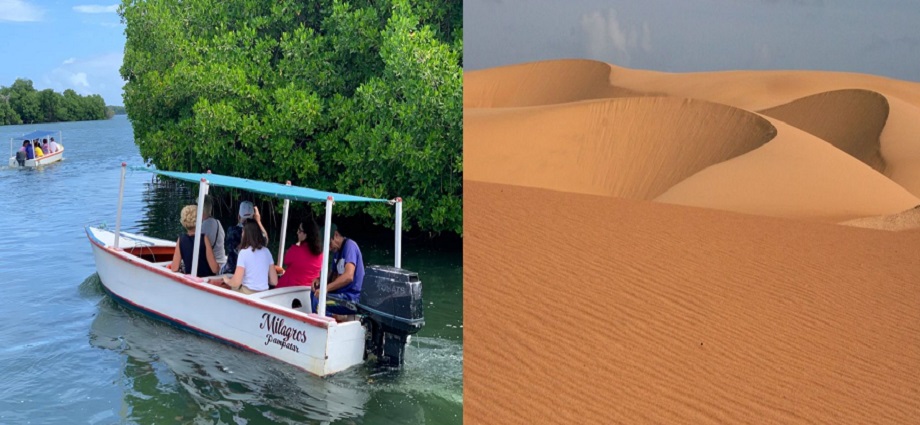 Entre los manglares de La Restinga y el oro de los Médanos