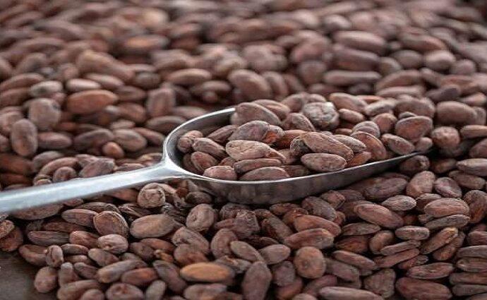 El cacao venezolano brilla en Ámsterdam