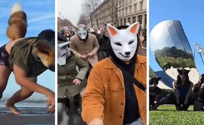 ¿Libertad de expresión o extravío social? El fenómeno "Therian" llega a Venezuela