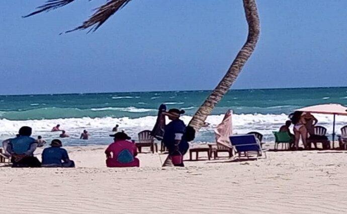 Nueva Esparta: El "petróleo" que no se extrae, se cultiva