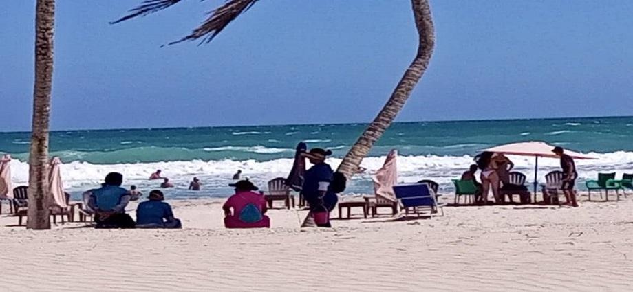 Nueva Esparta: El "petróleo" que no se extrae, se cultiva