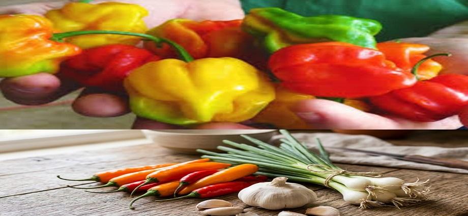 La Décima en el día a día: Los aliños criollos