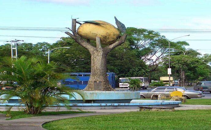 San Carlos: Donde el mango es rey y el arpa es ley