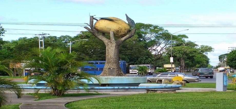 San Carlos: Donde el mango es rey y el arpa es ley