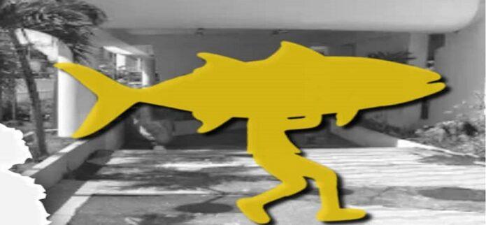 El Museo Francisco Narváez recibirá la III Conferencia del "Carite Centenario"