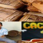 La Margarita de ayer en Décimas