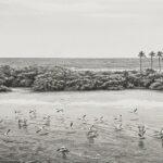 Efemérides Venezolanas: 28 de marzo