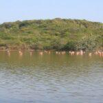 El ecoturismo navega en Sucre: Laguna de Copey estrena paseos en kayak