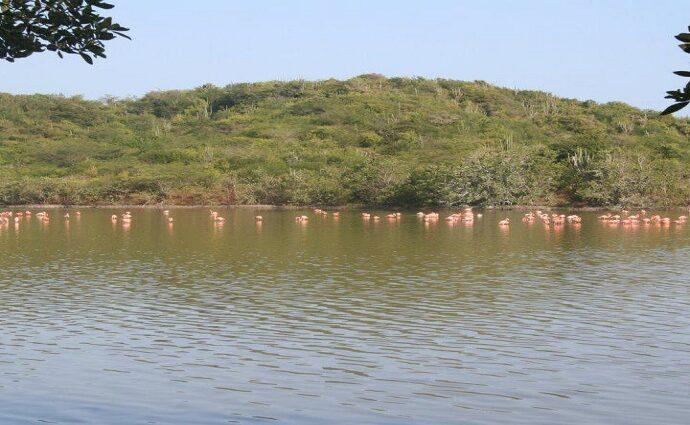 El ecoturismo navega en Sucre: Laguna de Copey estrena paseos en kayak