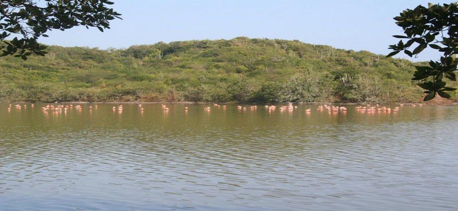 El ecoturismo navega en Sucre: Laguna de Copey estrena paseos en kayak