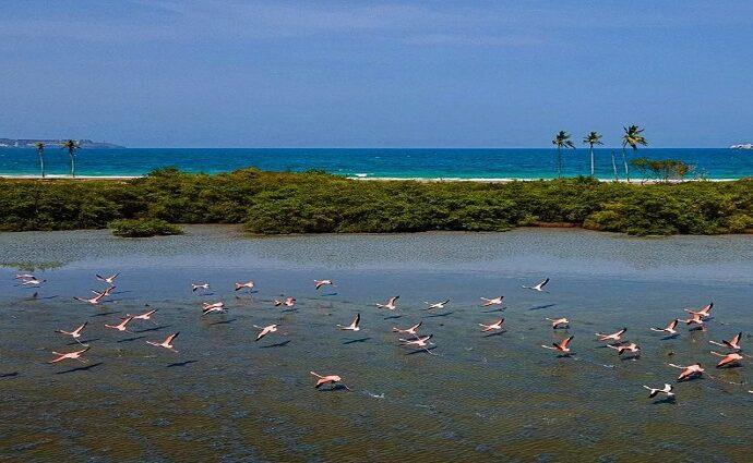 Ordenan paralización preventiva de obra en La Caracola