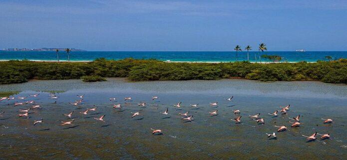 Ordenan paralización preventiva de obra en La Caracola