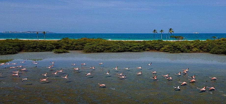Ordenan paralización preventiva de obra en La Caracola
