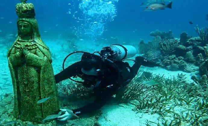 Vida marina coloniza el 80% del Museo de Los Frailes