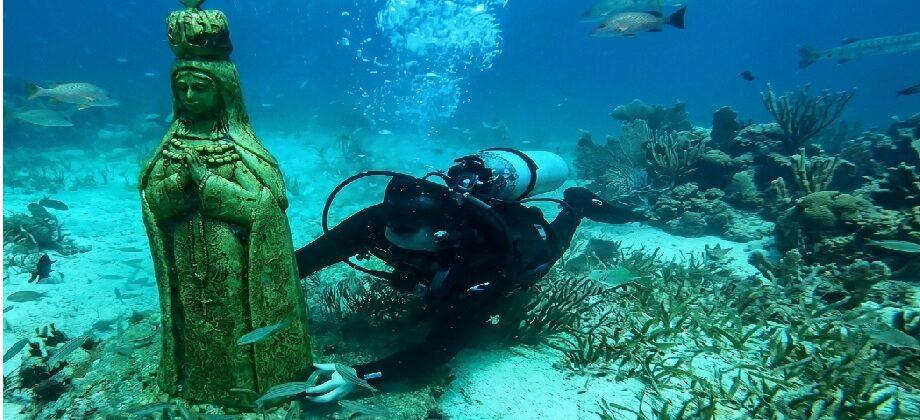 Vida marina coloniza el 80% del Museo de Los Frailes