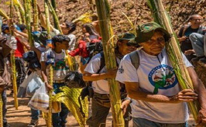 Palmeros de Chacao inician su ascenso al Waraira Repano