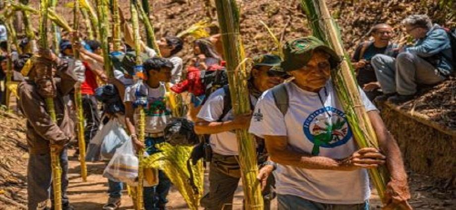 Palmeros de Chacao inician su ascenso al Waraira Repano