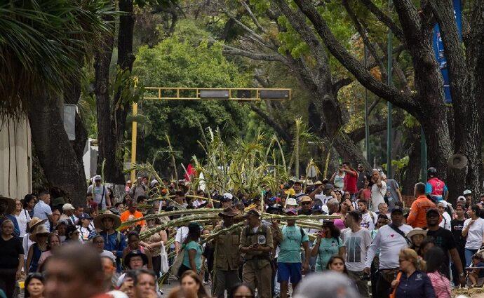 Los Palmeros de Chacao bajan del Waraira Repano