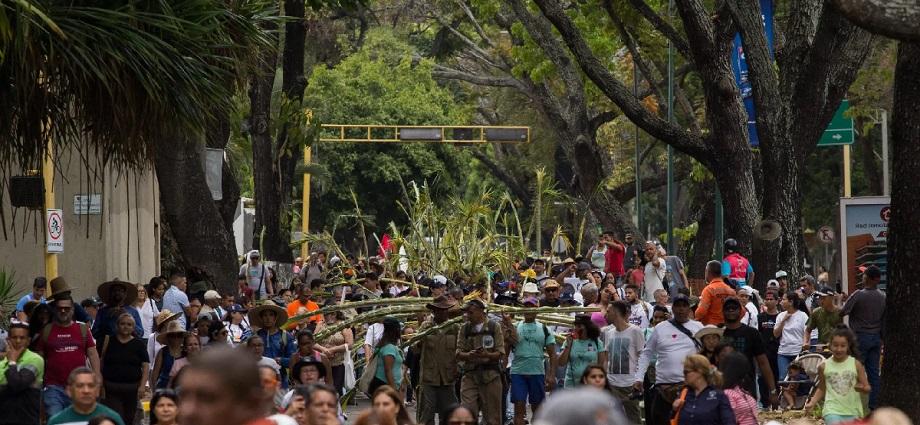 Los Palmeros de Chacao bajan del Waraira Repano