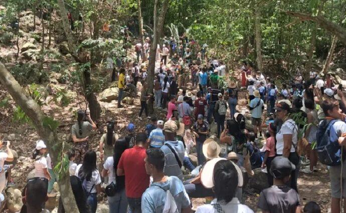 Palmeros Asuntinos listos para el ascenso