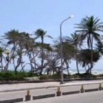 Antolín del Campo pone a punto Playa El Agua