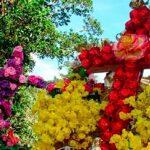 Los amigos de Capay y la Décima: A la Santa Cruz Bendita