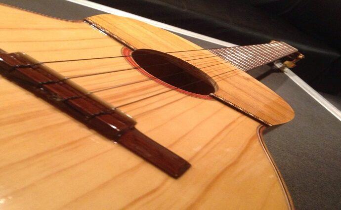 El alma en cuatro cuerdas: Venezuela vibra en su Día Nacional