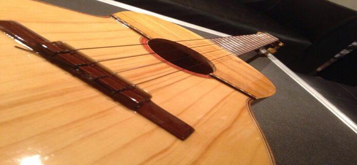 El alma en cuatro cuerdas: Venezuela vibra en su Día Nacional