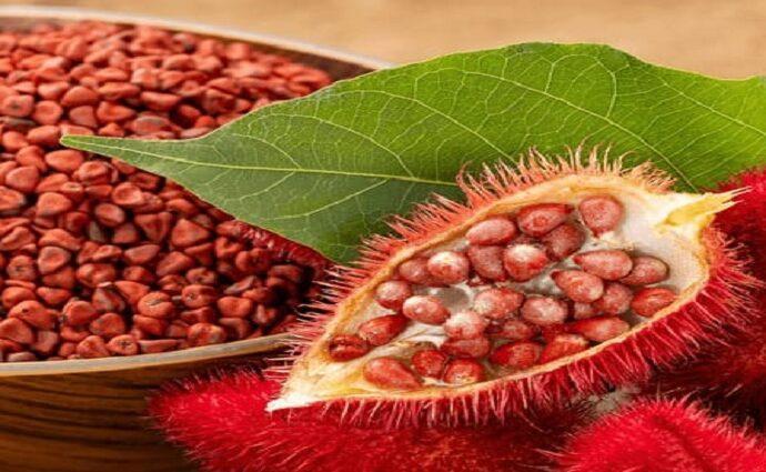 Se habla margariteño: Achote