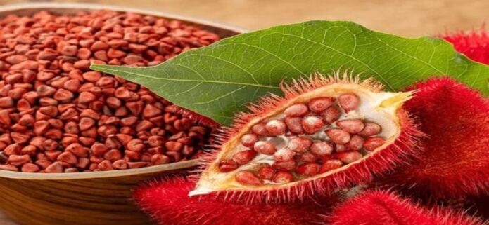 Se habla margariteño: Achote