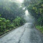 La Décima en el día a día: Hace falta una llovizna