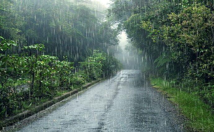 La Décima en el día a día: Hace falta una llovizna